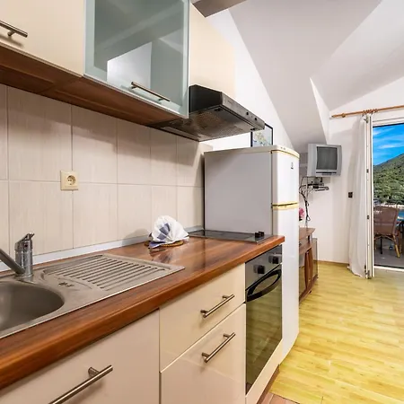 Apartment Rubin Zastrazisce